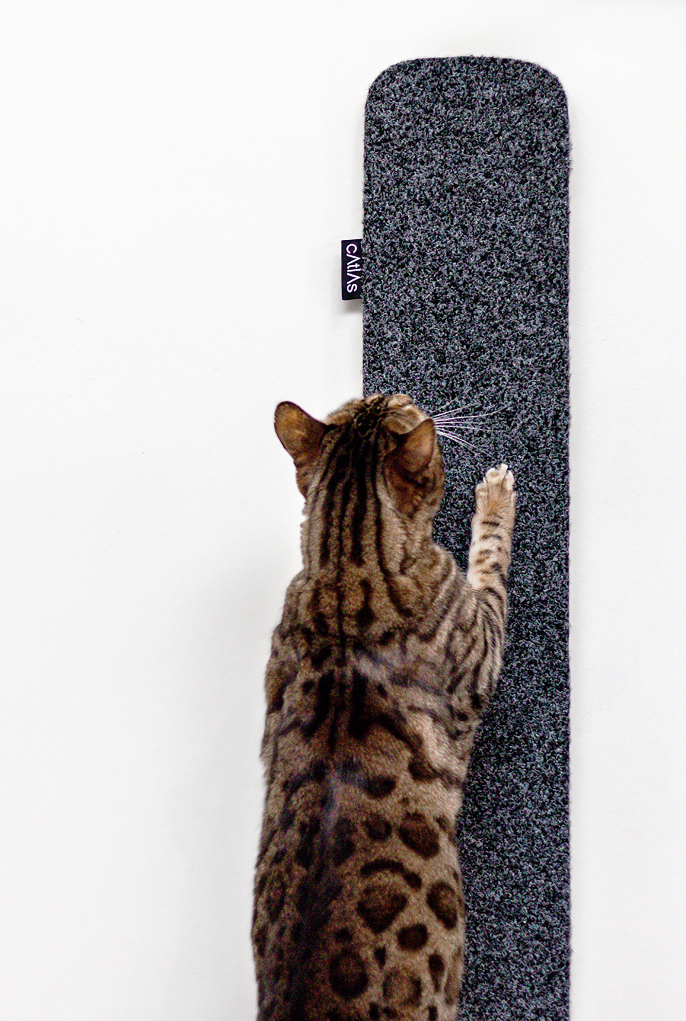 Catlas Wall Mounted Scratching Pad