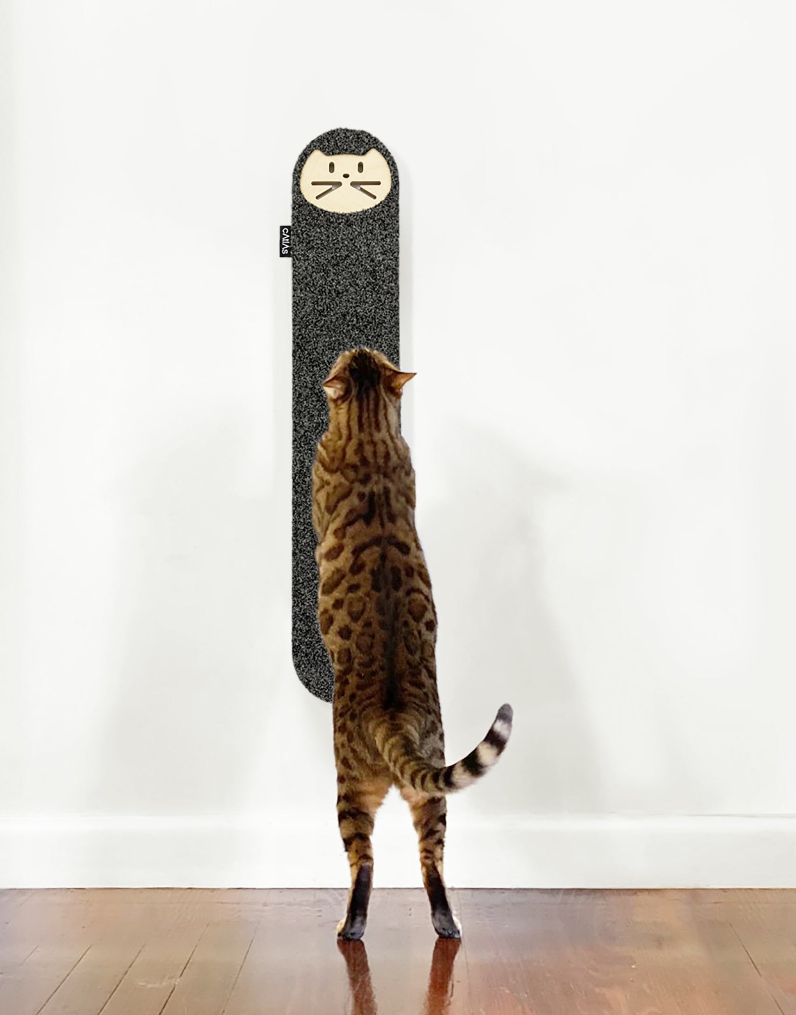 Mrs Whiskettes Wall Mounted Scratching Pad – CATLAS DESIGN